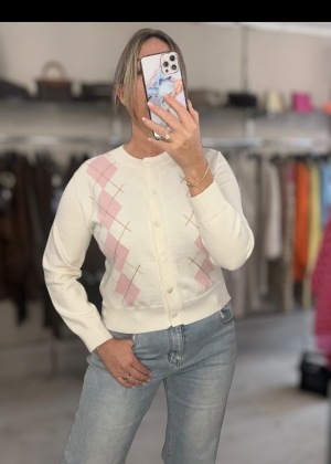 pinkargylecardigan