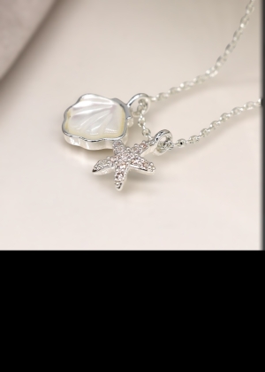 seashellnecklace