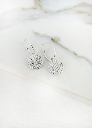 envysilverhoopearrings